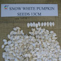 Good Quality Snow White Pumpkin Seeds for Sale